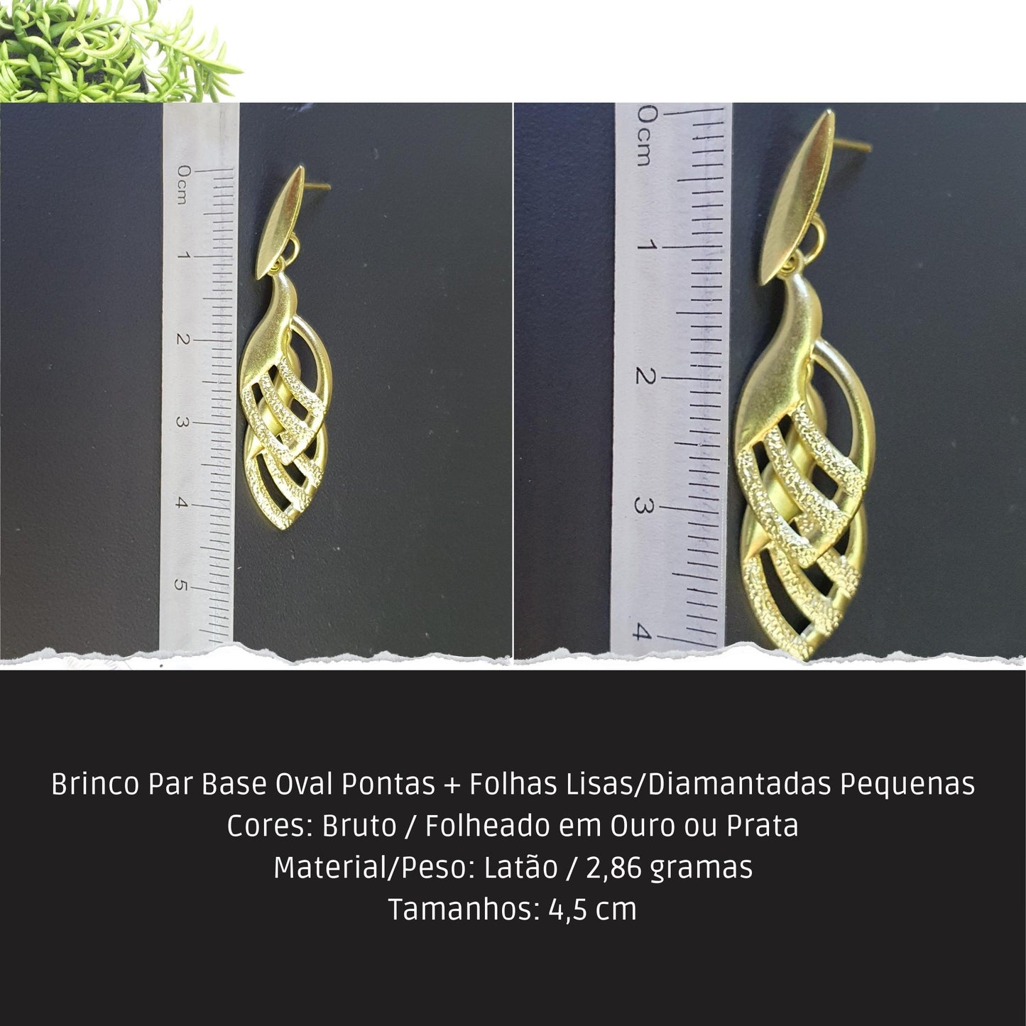 Brinco Par Base Oval Pontas + Folhas Lisas/Diamantadas Pequenas  - Código.: BR230040AIBR  - Peso.: 2.9 gr