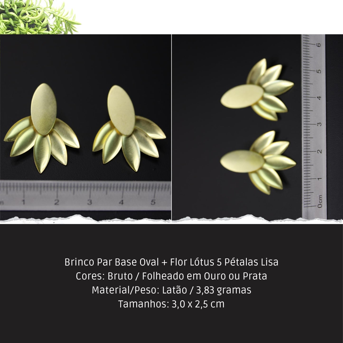Brinco Par Base Oval + Flor Lótus 5 Pétalas Lisa  - Código.: BR230049AIBR  - Peso.: 3.8 gr