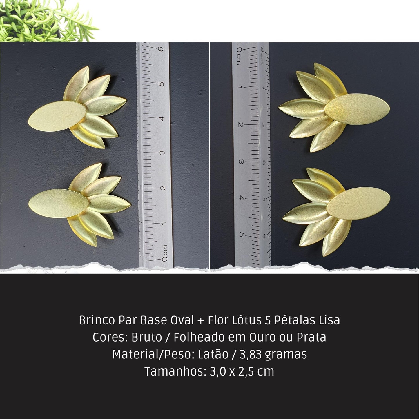Brinco Par Base Oval + Flor Lótus 5 Pétalas Lisa  - Código.: BR230049AIBR  - Peso.: 3.8 gr