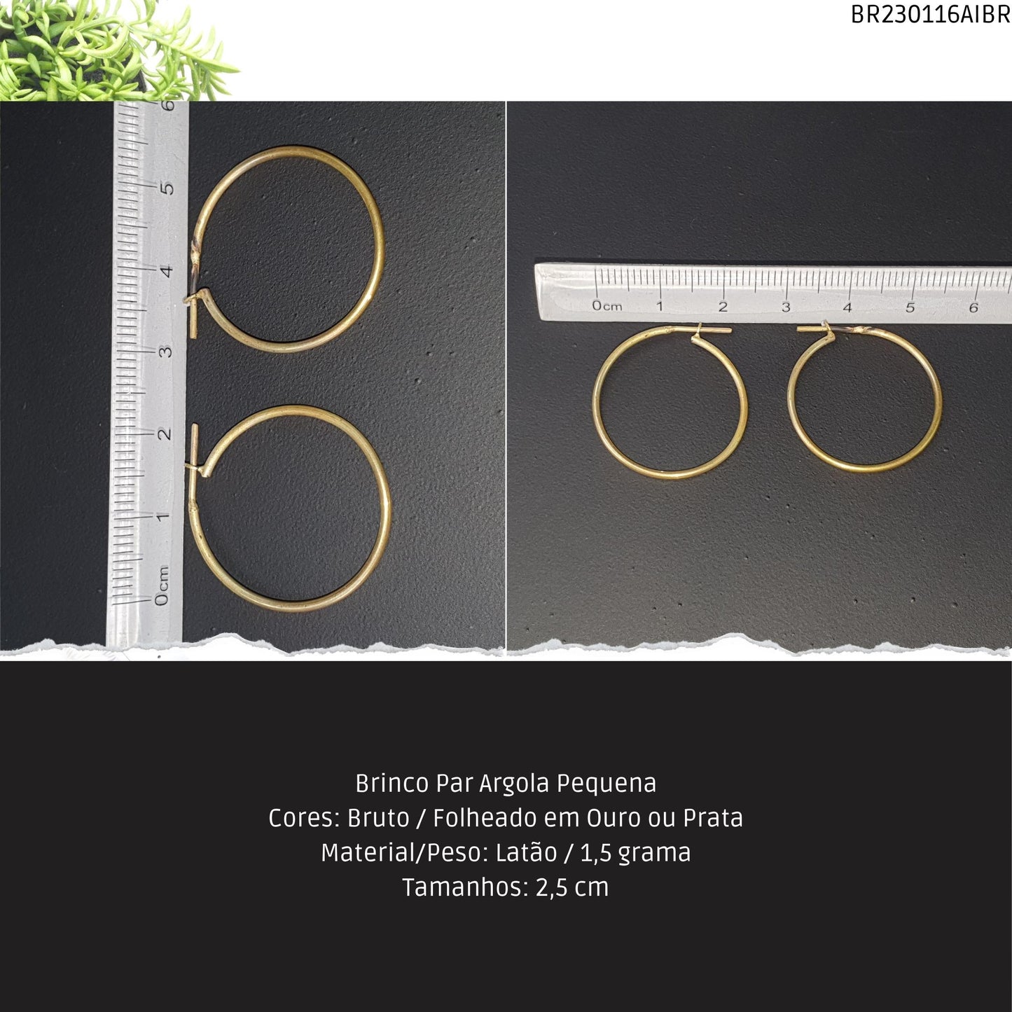 Brinco Par Argola Pequena  - Código.: BR230116AIBR  - Peso.: 1.5 gr