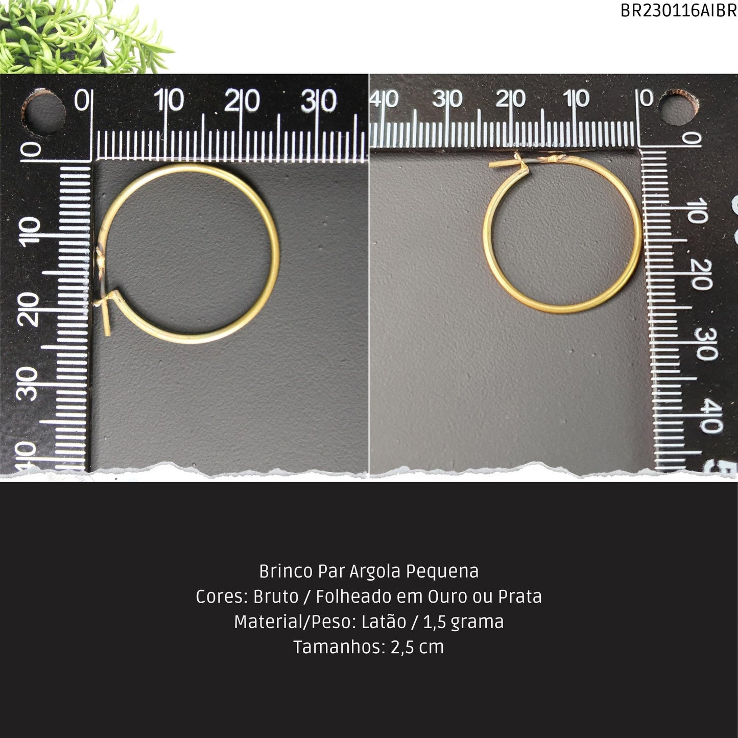 Brinco Par Argola Pequena  - Código.: BR230116AIBR  - Peso.: 1.5 gr