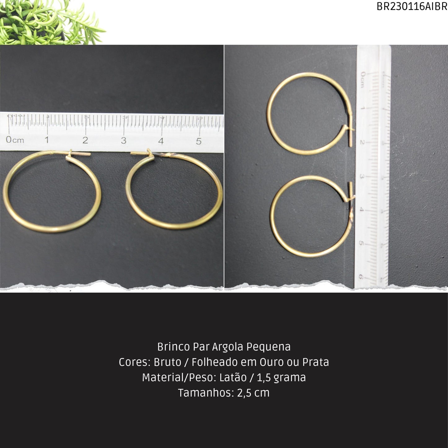 Brinco Par Argola Pequena  - Código.: BR230116AIBR  - Peso.: 1.5 gr