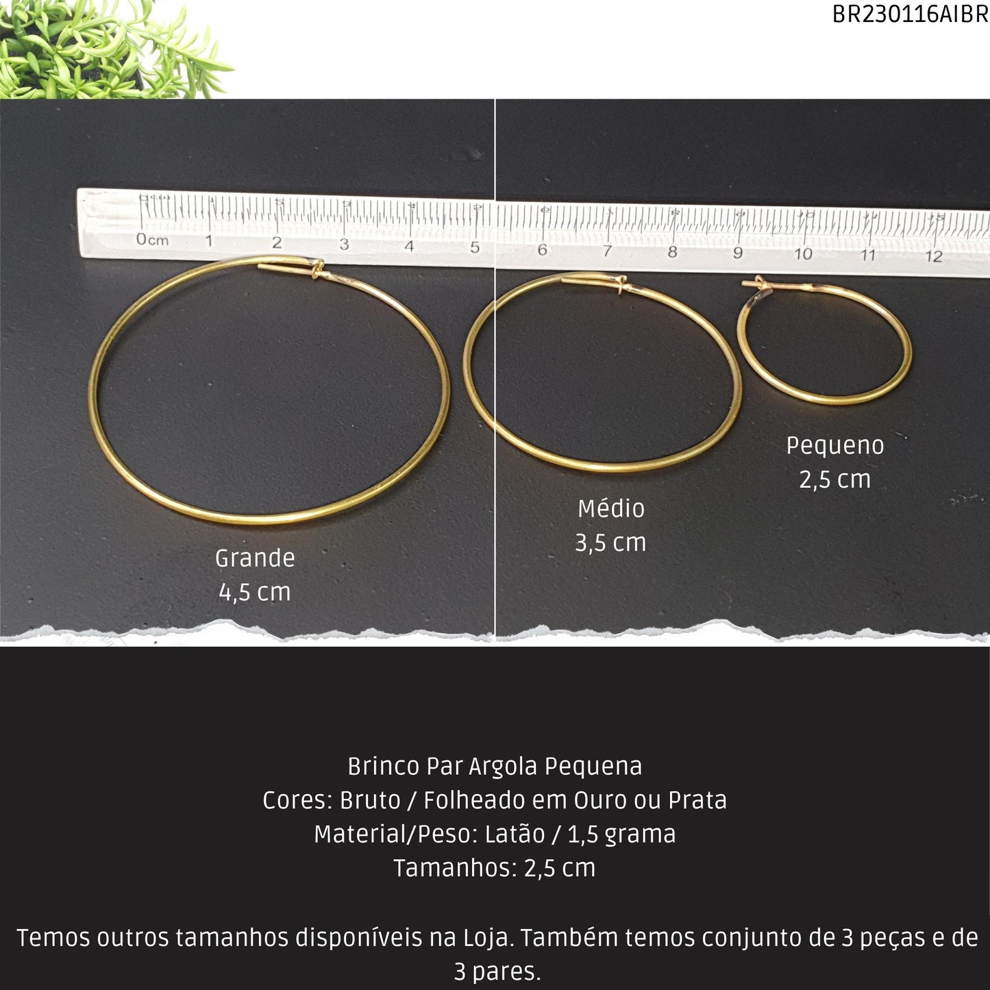 Brinco Par Argola Pequena  - Código.: BR230116AIBR  - Peso.: 1.5 gr