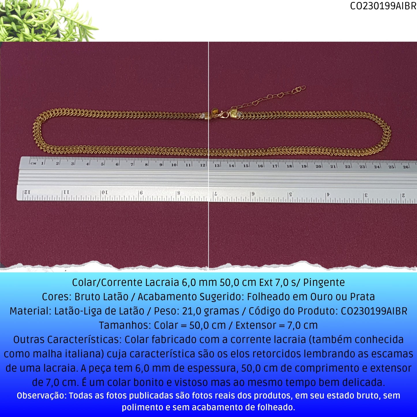 Colar/Corrente Lacraia 6.0 mm 50.0 cm Ext 7.0 s/ Pingente  - Código.: CO230199AIBR  - Peso.: 21.0 gr