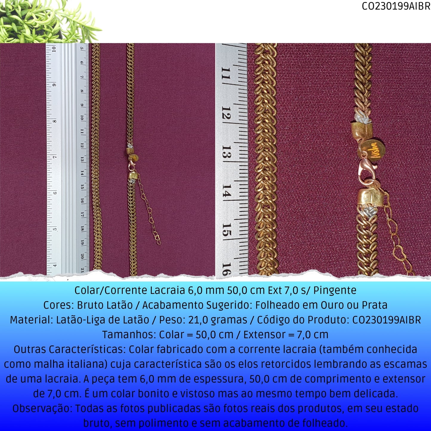 Colar/Corrente Lacraia 6.0 mm 50.0 cm Ext 7.0 s/ Pingente  - Código.: CO230199AIBR  - Peso.: 21.0 gr