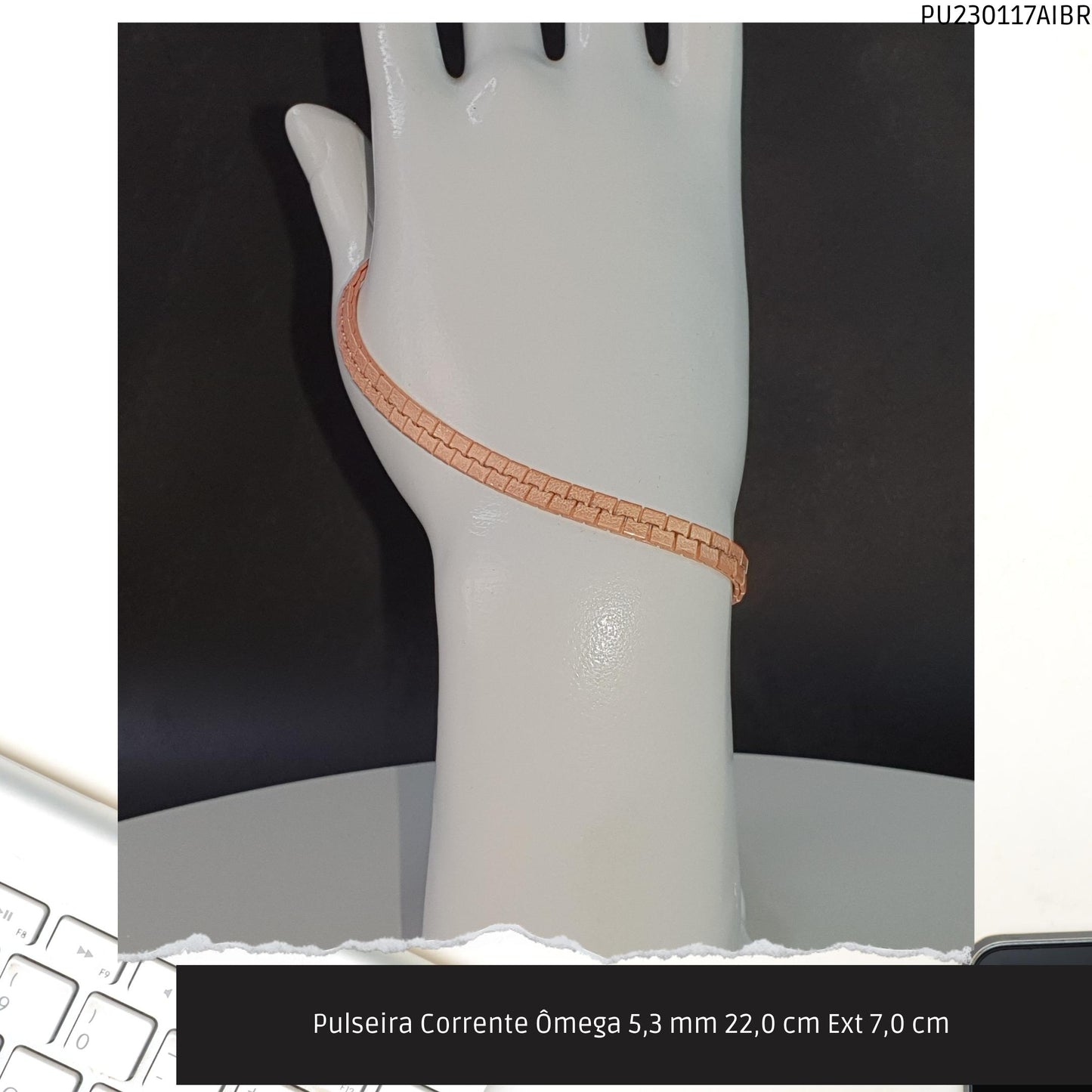 Pulseira Corrente Ômega 5.3 mm 22.0 cm Ext 7.0 cm   - Código.: PU230117AIBR  - Peso.: 14.3 gr