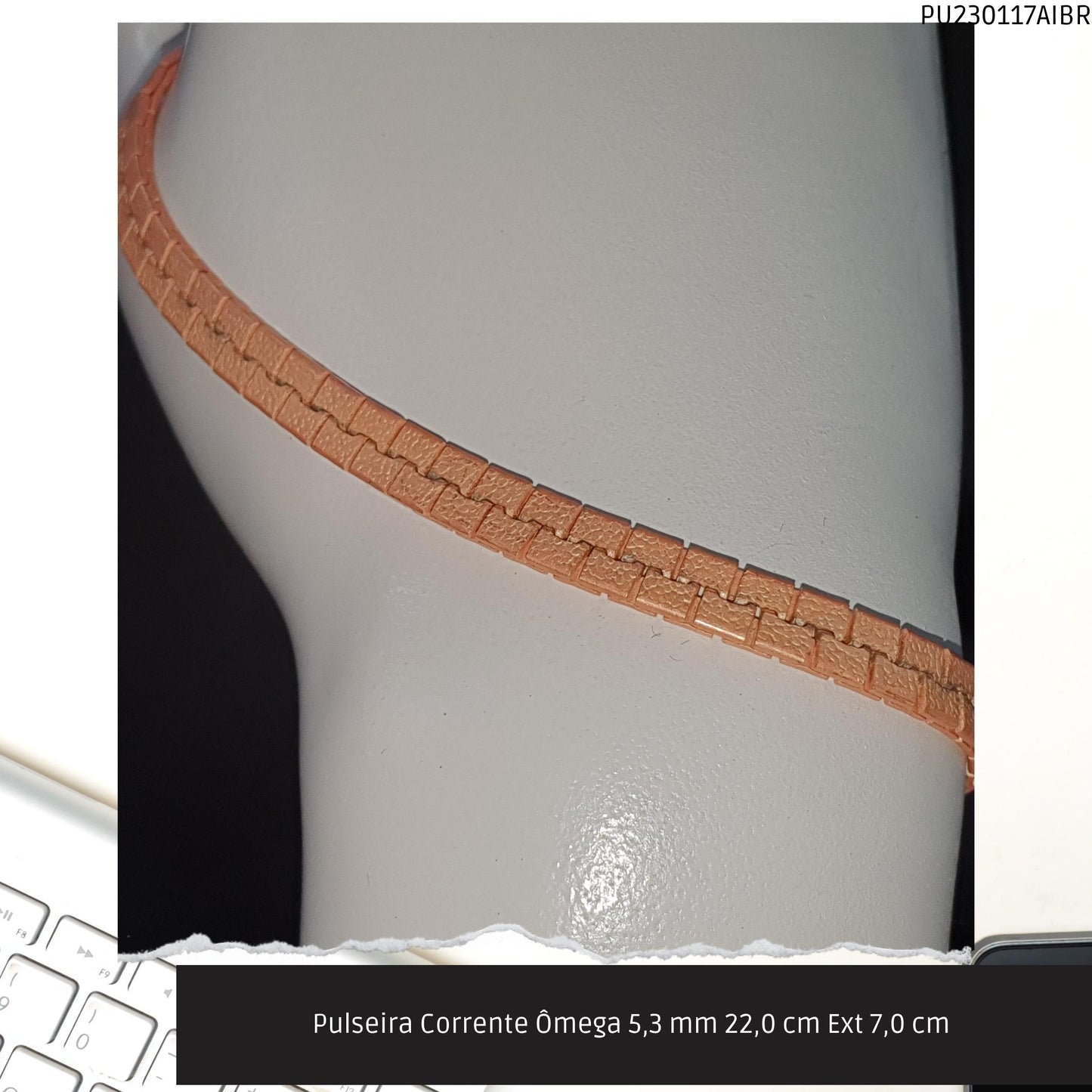 Pulseira Corrente Ômega 5.3 mm 22.0 cm Ext 7.0 cm   - Código.: PU230117AIBR  - Peso.: 14.3 gr