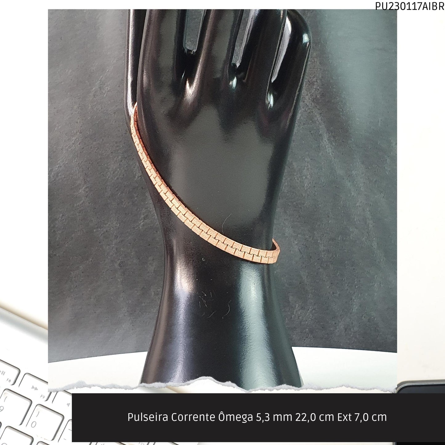 Pulseira Corrente Ômega 5.3 mm 22.0 cm Ext 7.0 cm   - Código.: PU230117AIBR  - Peso.: 14.3 gr